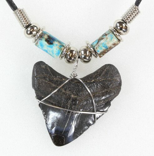 Polished Megalodon Tooth Necklace #43175
